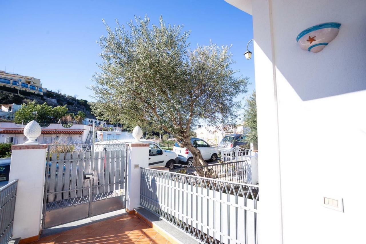 Apartmán Casa Restituta Lacco Ameno  Exteriér fotografie