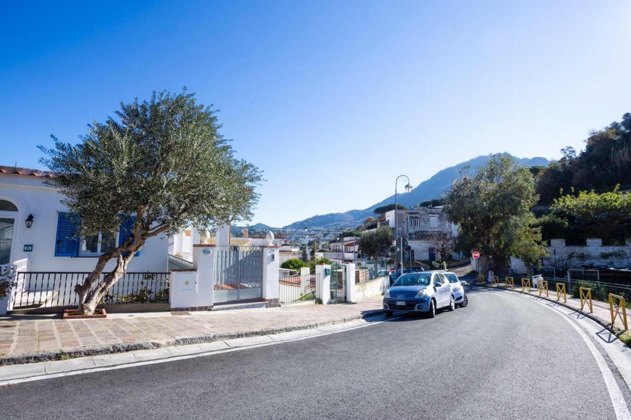 Apartmán Casa Restituta Lacco Ameno  Exteriér fotografie